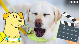  FUNNIEST Dogs EVER!  Dog Squad BLOOPERS | CBeebies