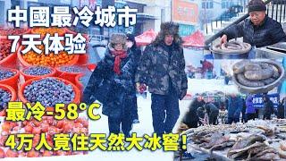 中国最冷城市，7天深度体验，极端低温-58°C，每年供暖9个月，从18万人流失到今天4万多人，平均工资4000元，但上山捡野果每年能挣3万元，实拍鲜有人知的极寒之地【阿树闯东北】EP42