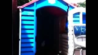 QUESTA È LA SUA NUOVA CASA... hahaha
