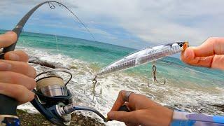 TOPWATER Fishing A Rocky Headland!