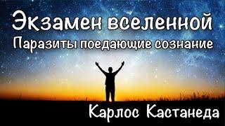 Энергетические паразиты человека. Существа поедающие осознание. Карлос Кастанеда.