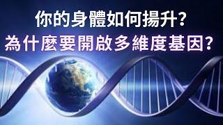 我們的身體如何揚升？變成水晶身體的過程會發生什麼事？DNA升級的徵兆