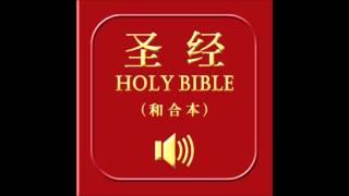 和合本圣经 • 路加福音 | Chinese Union Version Bible • Luke