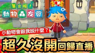 【動物森友會】重新開啟塵封的島！島民會生氣還是驚喜？好久不見大回歸！