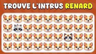 Trouve l'Intrus…! Édition Animaux  | Quiz Abeille