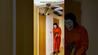 Funny video try not to laugh money heist monster Scary Nun bhoot wala  anaconda snake #shorts #vfx