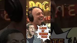 Adam Sandler EATS IT at Corporate Show | JRE#2187#joerogan #adamsandler #shorts #standupcomedy