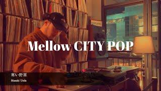 [Vinyl only] Japanese Mellow CITY POP Playlist by DJ Mangmi Blues