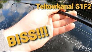 Teltowkanal S1F2 | Stachelritterjagt mit coolem Beifang