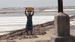 Sahayamatha Saltworks in India