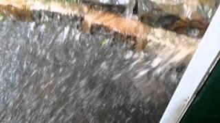 The Rain that Fell Creates a Waterfall in my Backyard - Weather Waterfall - HD