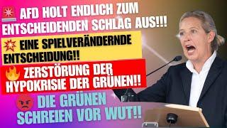  MEGA! AfD-Rede entlarvt den BETRUG der Grünen!