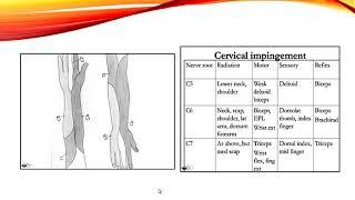 مراقبت های ویژه در مشکلات بالینی ارتوپدی (2) | دوره جامع آموزش پرستاری مراقبت ویژه در ICU