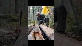 Собираю нодью, чтобы не замерзнуть ночью в лесу. #bushcraft #survival