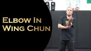 Sifu Wilfred having the "Elbow In" Wing Chun 2019 Spring Workshop
