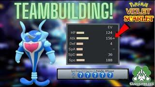 How to TEAMBUILD with Palafin in Pokemon Scarlet & Violet VGC!