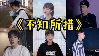 【抖音合集】翻唱《不知所措》原唱：王靖雯不胖『最灿烂的烟火总是先坠落  越是暖的经过反而越折磨』