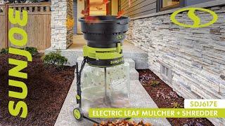 Sun Joe SDJ617E Bladeless Electric Leaf Mulcher + Shredder - Live Demo