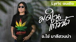 มดในแก้วน้ำ Special Single : อ.ไข่ มาลีฮวนน่า (Official Audio)