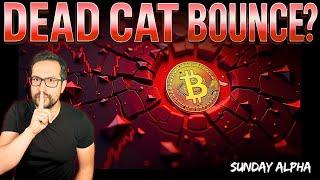 Bitcoin Dead Cat Bounce Warning - Key Levels to Watch - Sunday Alpha