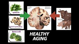 Healthy, (Nutrient) Wealthy and Wise: Diet for Healthy Aging - Research on Aging