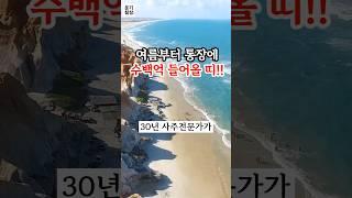 여름부터 통장에 큰 돈이 열리는 띠 금전운 터집니다! #운세 #띠별운세 #사주 #인생