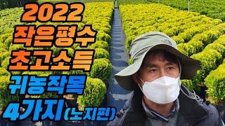 2022 작은땅 초고소득 귀농작목 Top 4 (노지편)