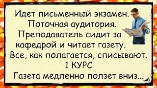  Как в ВУЗах на разных курсах экзамен принимают анекдоты юмор смех