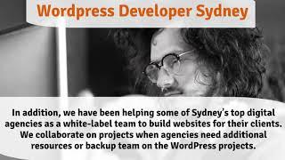 Hire the professional Wordpress developer in Sydney