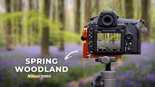 A Sea of Bluebells! Spring Woodland Photography Vlog