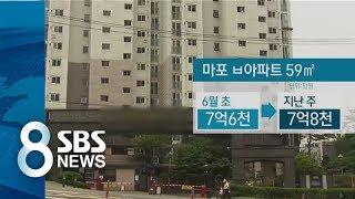 시행 한 달 만에 집값 '쑥쑥' / SBS