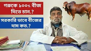 গরুর ১০০% জাত নির্বাচন || ব্রাহমা,ফ্রিজিয়ান || গরুর বীজের দাম কেমন | কৃত্রিম প্রজনন | কৃষি অনুশীলন৯৪