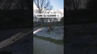 STOPPIE SUL DISCESONE DEL TEVERE  #shorts #bike #fyp