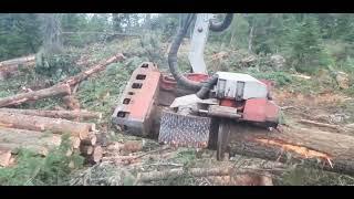 logging with the logmax 7000xt