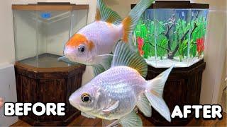 Restoring a Vintage Aquarium for Two Goldfish