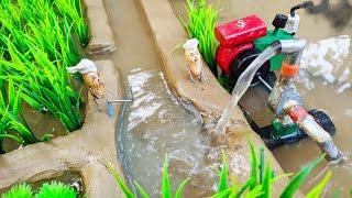 mini diesel engine water pump science project | water pump | Diy tractor