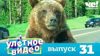 Улетное видео | Выпуск 31