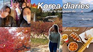 KOREA VLOG  Fall trip to Gangwon-do with friends: autumn foliage, Korean food, sunrise in Gangneung