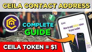 Ceila Contact Address Complete Guide | Ceila Listing Price | Ceila Network