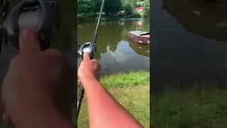 Shimano Curado DC Casting Sound