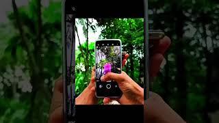 Photography Tips For Mobile || Nature Photography Ideas #shorts