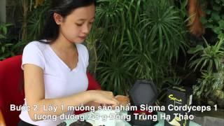 Hướng dẫn sử dụng bột đông trùng hạ thảo Sigma 1