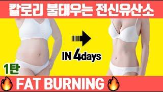 출렁이는 지방단기간에 빼고 싶으면 이 유산소운동 1달만 하세요. (유산소 다이어트/전신 유산소 타바타/칼로리 폭발 운동)