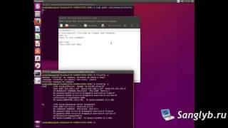 Ubuntu network setup