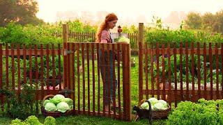 Cabbage Harvest to Homemade Sauerkraut  ASMR Cooking, Counrty Life, Summer Garden