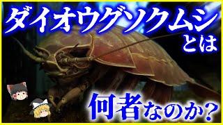 絶食と巨大化の謎…「ダイオウグソクムシ」とは何者なのか？を解説/深海巨大症とは【ゆっくり解説】