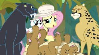 My Little Pony: FIM Season 9 Episode 21 (Daring Doubt)