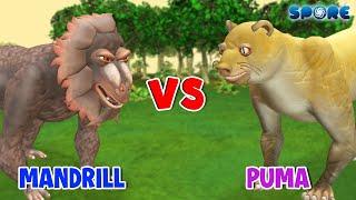 Mandrill vs Puma | Primate Animal vs Big Cat Animal [S1E7] | SPORE