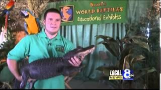 Brad's World Reptiles