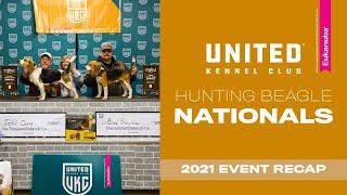 2021 UKC Hunting Beagle Nationals | United Kennel Club